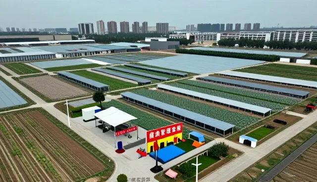 中医养生理念如何推动基础健康检查套餐的升级与普及